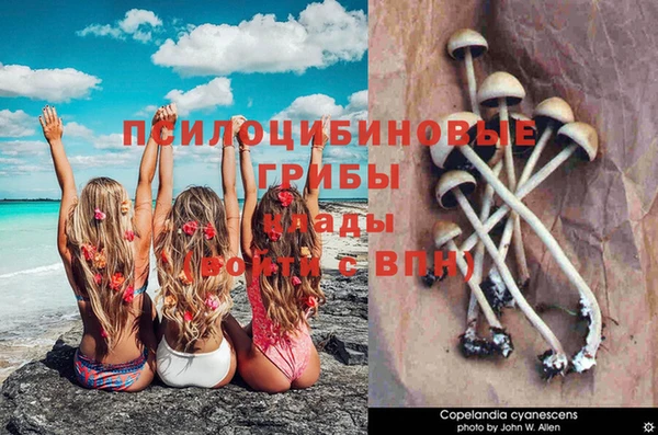 jwh Саяногорск