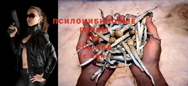 винт Белоозёрский