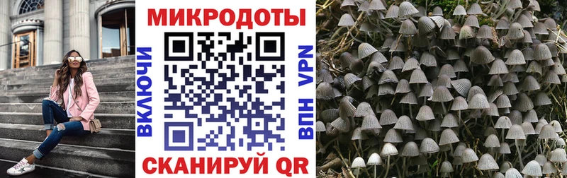 где можно купить наркотик  Енисейск  Псилоцибиновые грибы прущие грибы 